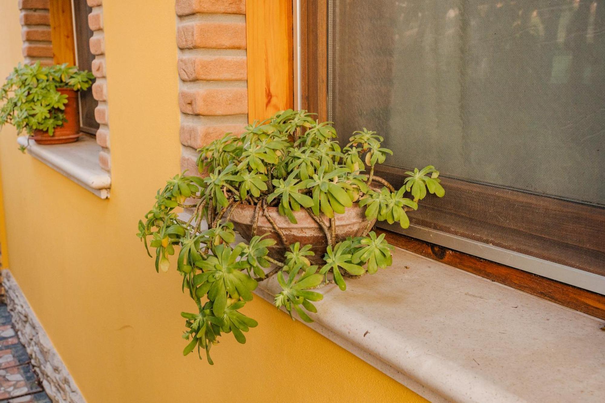 La Loggia Bed & Breakfast Comacchio Exterior photo